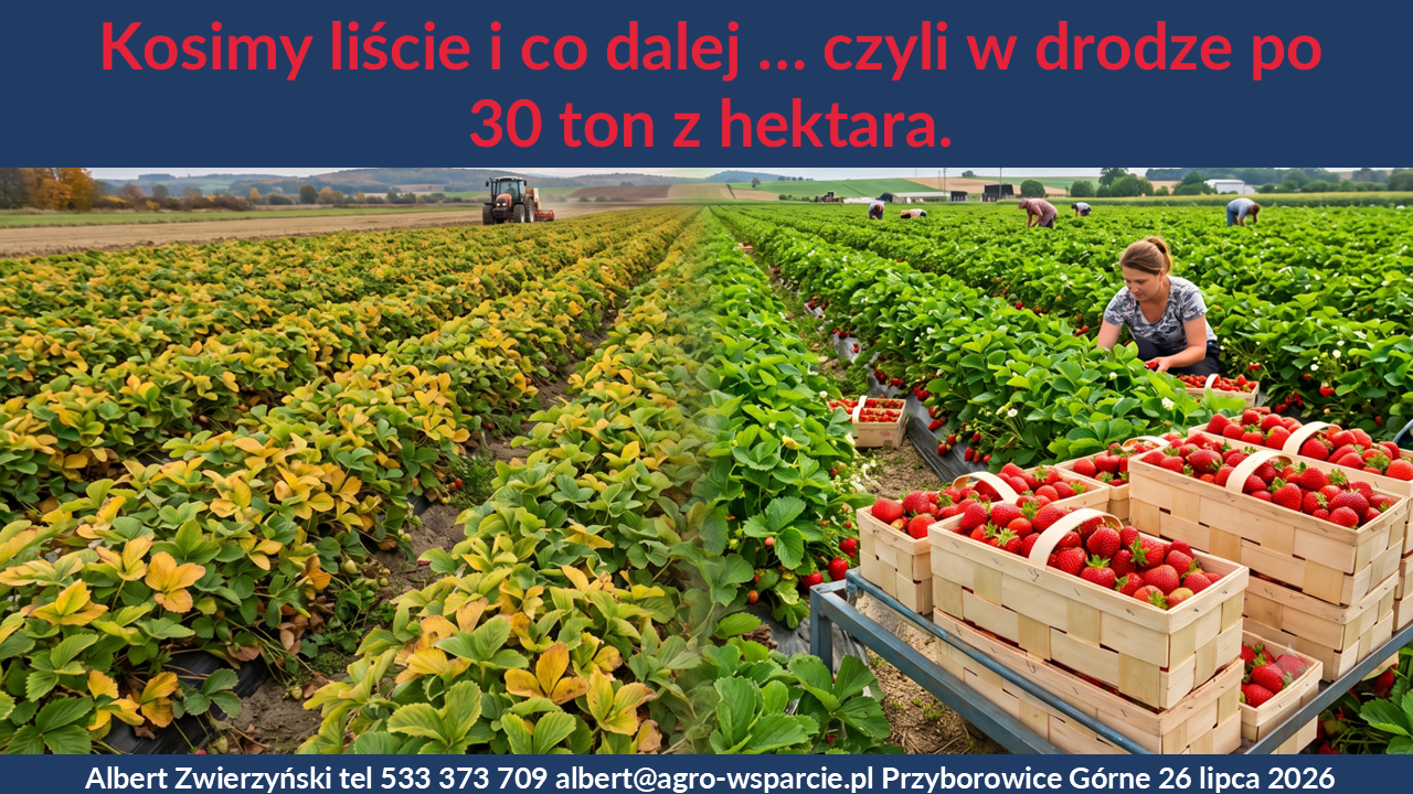 Slajd z prezentacji BerryTech 2026