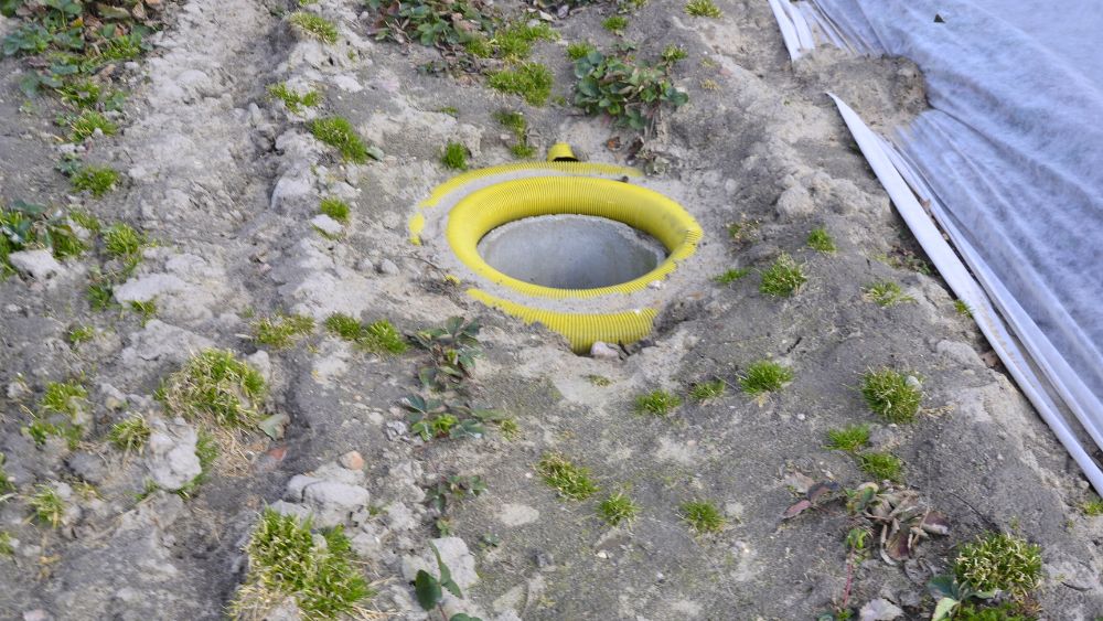 System melioracji na plantacji truskawki