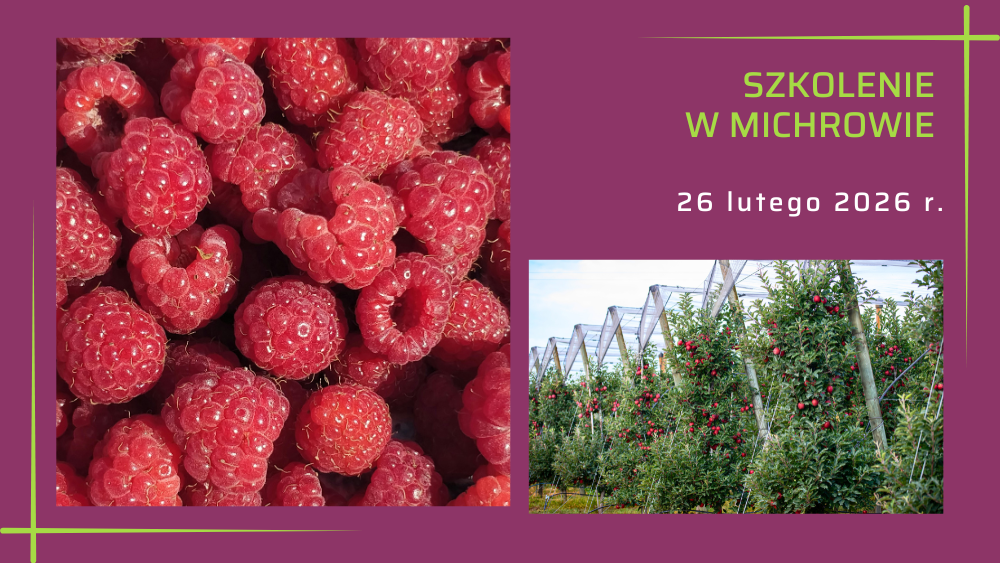Szkolenie w Michrowie - 26.02.2026