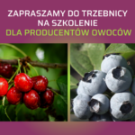 Szkolenie w Trzebnicy - zaproszenie