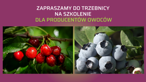 Szkolenie w Trzebnicy - zaproszenie
