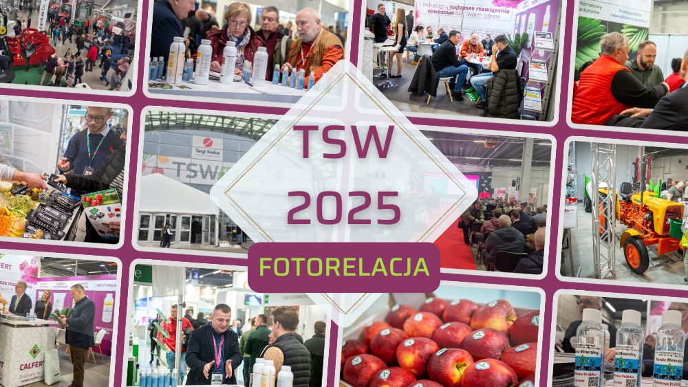 TSW 2025 fotorelacja