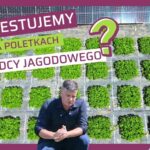 Testy Calfert na poletkach Doradcy Jagodowego
