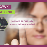 Nawożenie i biostymulacja po posadzeniu truskawek