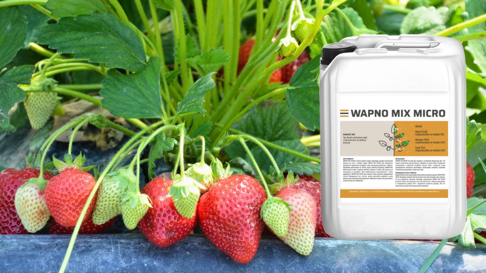 Wapno Mix Micro do truskawek nawóz dolistny z wapniem