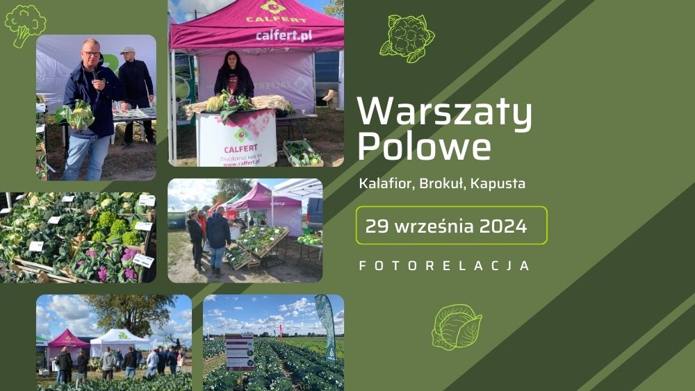 Warsztaty Polowe Nieborowiec