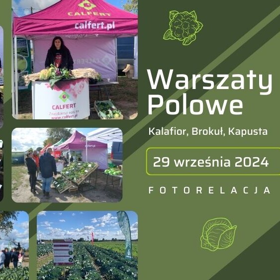 Warsztaty-Polowe-Nieborowiec-ow