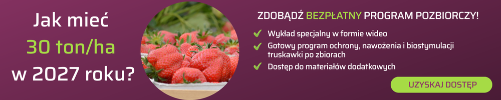 Wykład specjalny-program pozbiorczy dla truskawki-baner