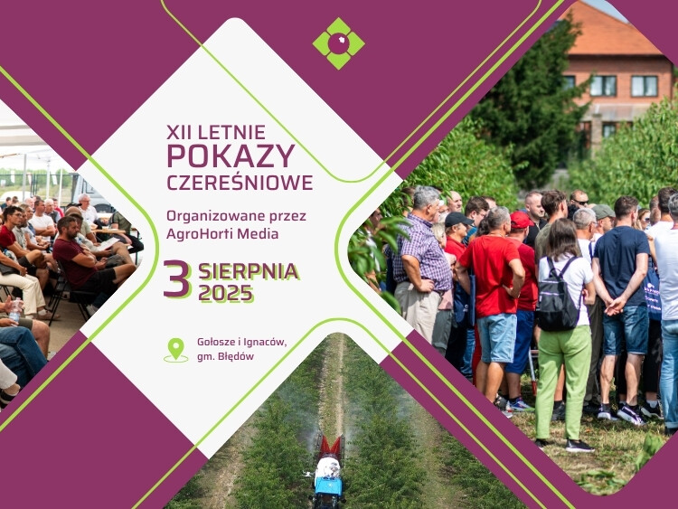 XII Letnie Pokazy Czeresniowe – ow