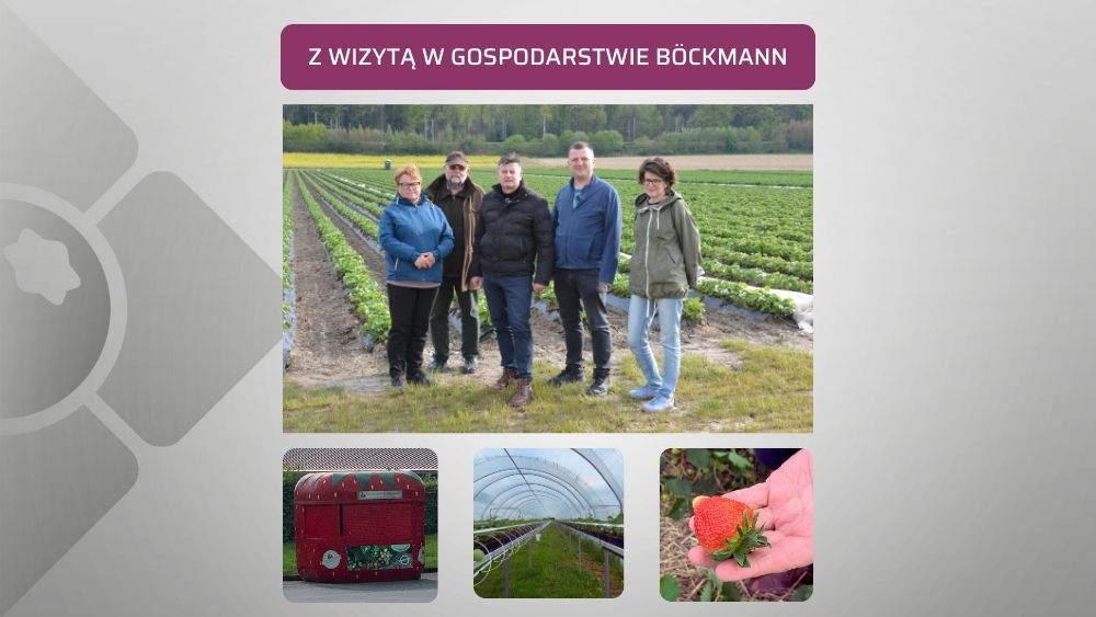 w gospodarstwie Bockmann Niemcy
