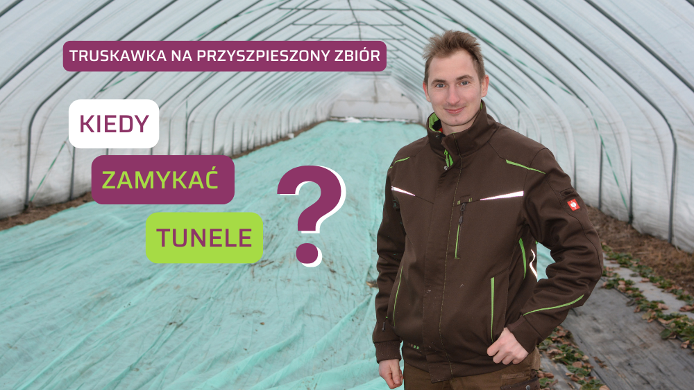 Zamykać tunele czy jeszcze czekać - Mateusz Maruszewski