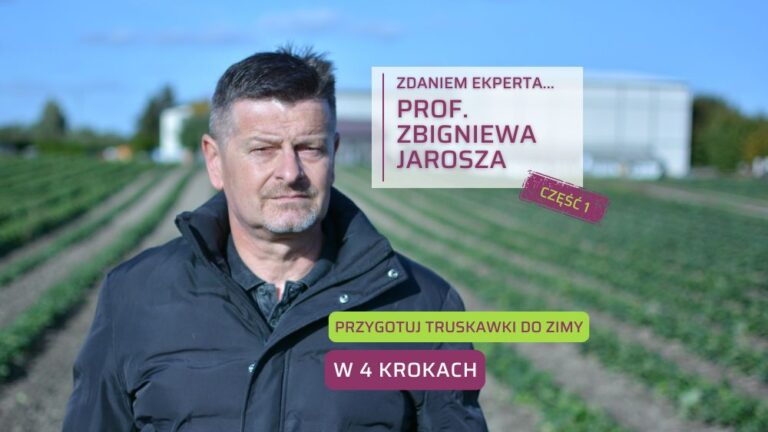 Zbigniew-Jarosz-Jak-przygotowac-truskawki-do-zimy-ob