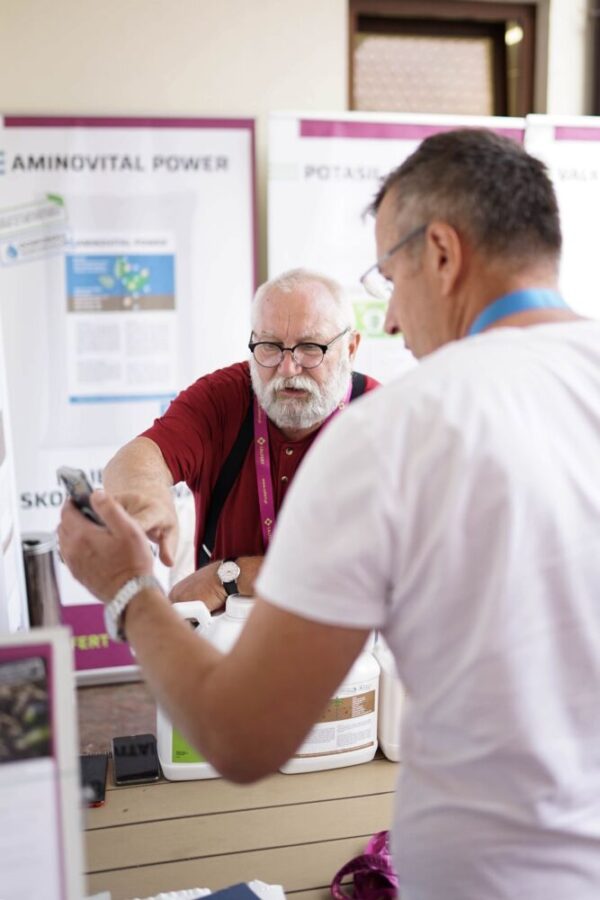 Nawodnienie i nawożenie, czyli fertygacja w uprawie truskawek