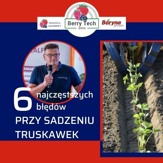 dlaczego-truskawki-zamieraja-BerryTech2024-Zbigniew-Jarosz-ow