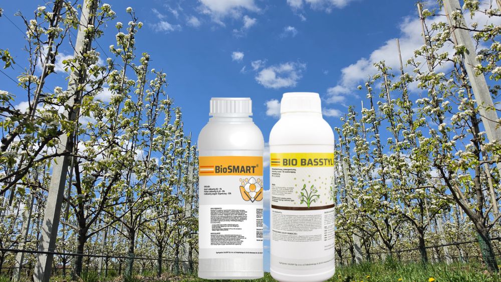 dolistne zabiegi w gruszy biostymulatorami BioSmart i Bio Basstyl Grand