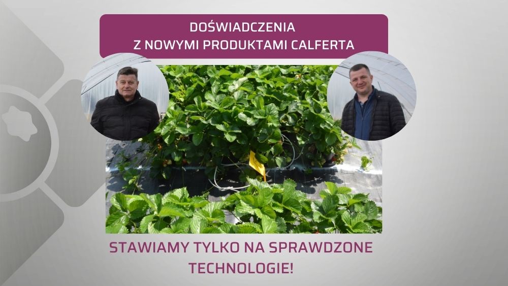 doswiadczenia-z-produktami-Calfert-ow