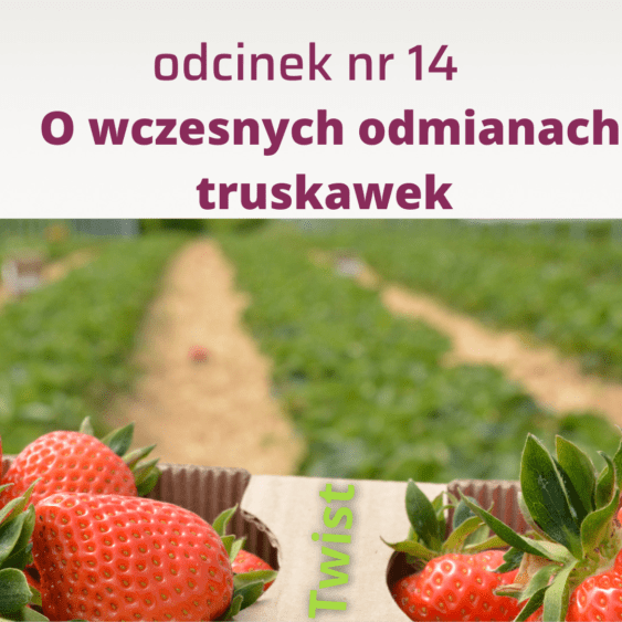 14.Jakie są aktualne truskawkowe, odmianowe trendy i preferencje?
