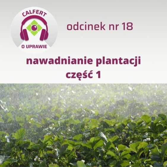 18. Jak skutecznie nawadniać plantację? Część 1