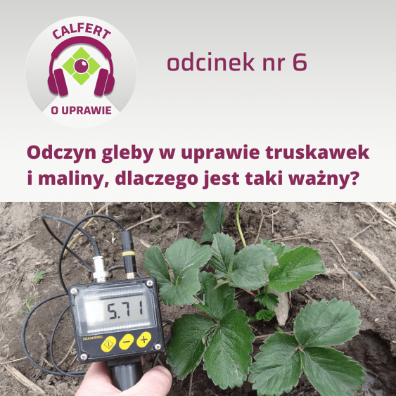 odcinek-6-1401x1401-1