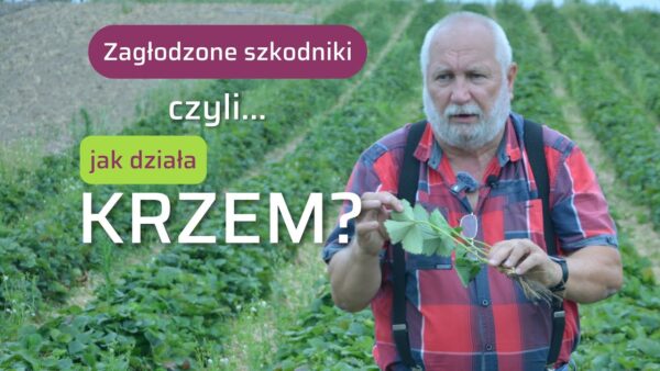 Krzem w ochronie roślin przed szkodnikami – skuteczność, działanie, zalecenia