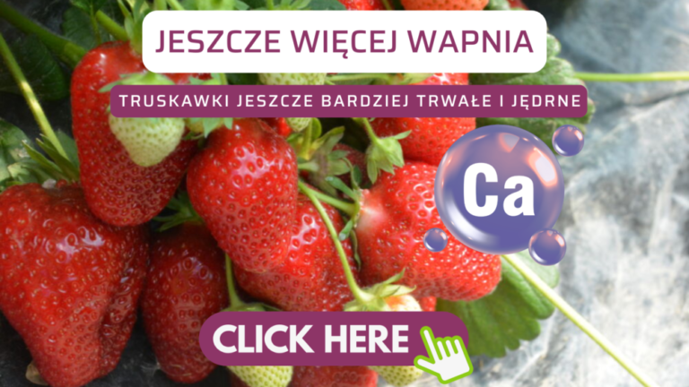 jeszcze wiecej wapnia