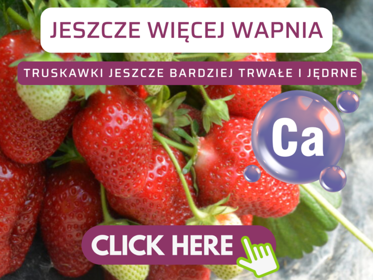 jeszcze wiecej wapnia