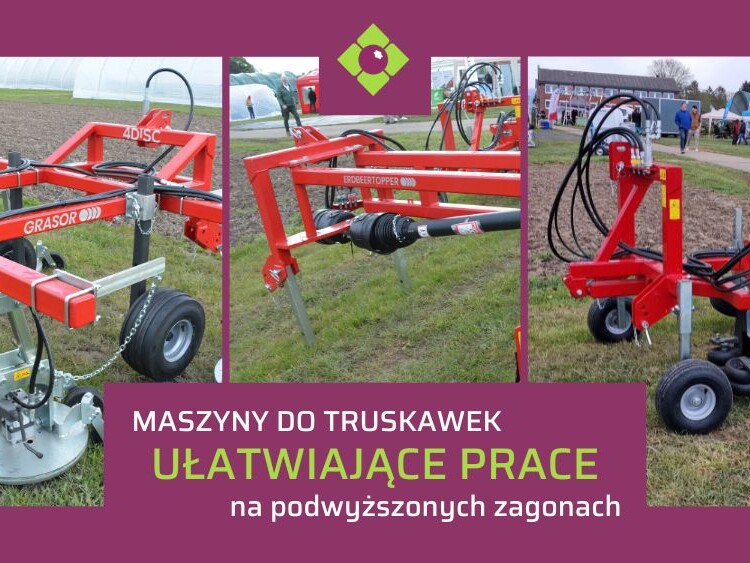 maszyny-do-truskawek-na-podwyzszonych-zagonach-ow