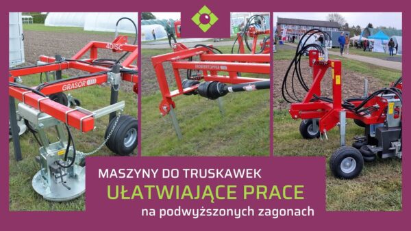 Maszyny do truskawek na podwyższonych zagonach – co nowego?