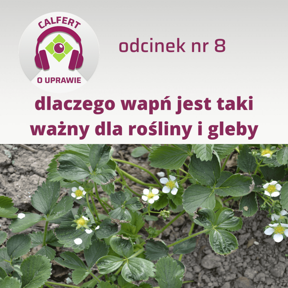 8. Dlaczego wapń jest tak ważny dla gleby i roślin?