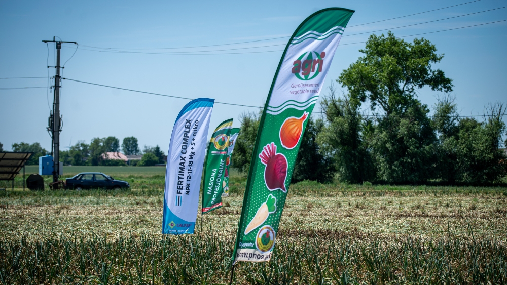 pole pokazowe – Wielkopolskie Manewry Cebulowe 2025