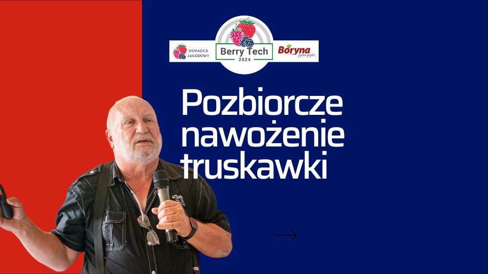 pozbiorcze nawożenie truskawek Jarosław Barszczewski