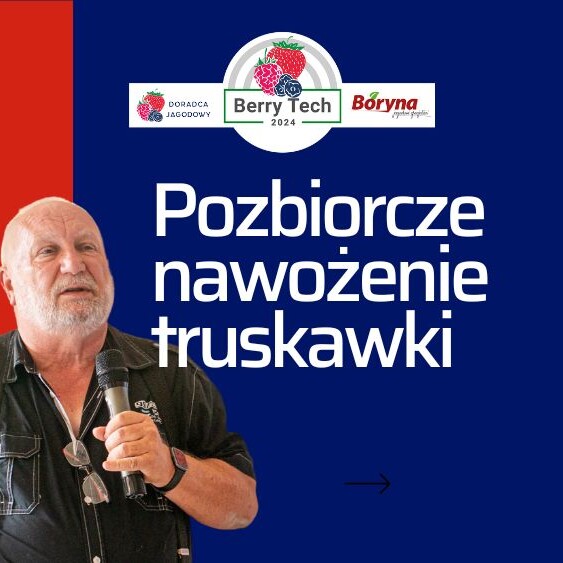 pozbiorcze-nawozenie-truskawek-ow