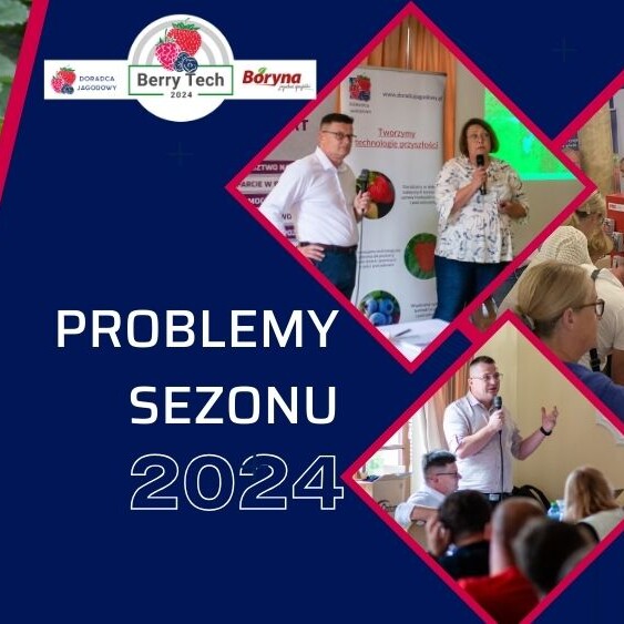 problemy-sezonu-2024-Berry-Tech-2024