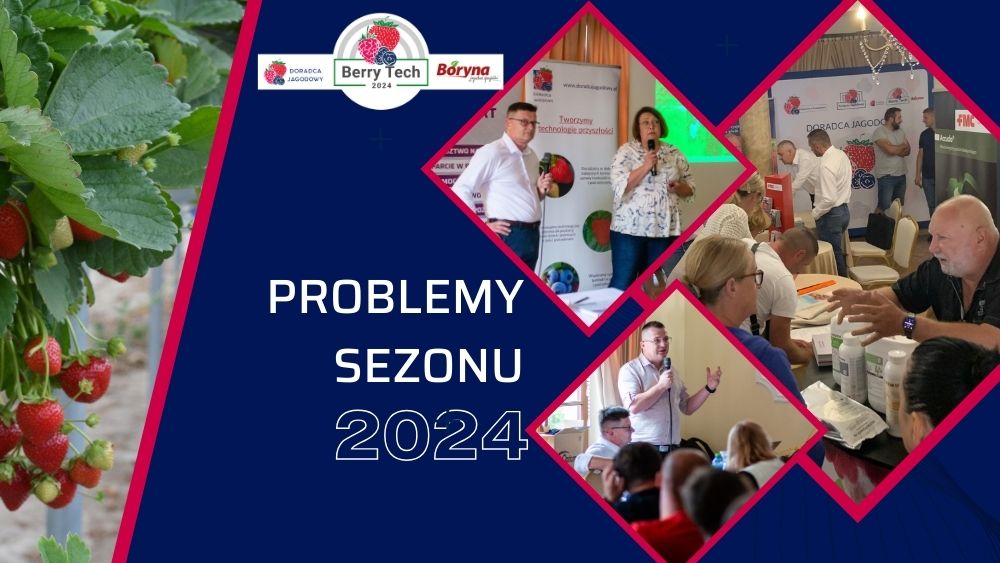 problemy-sezonu-2024-Berry-Tech-2024