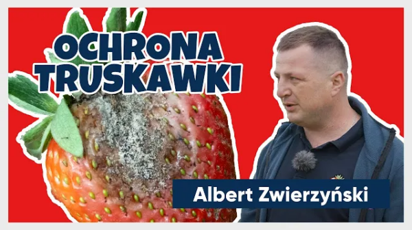 Truskawka, trudny sezon?! Ochrona przed chorobami i szkodnikami. Czyli epole w ogrodzie, materiał video z Corteva