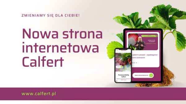 Zmieniamy się dla Ciebie: strona internetowa Calfert w nowej odsłonie!