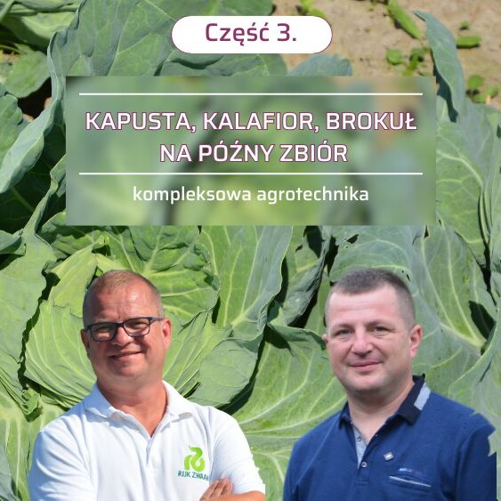 warzywa-kapustne-agrotechnika-ow