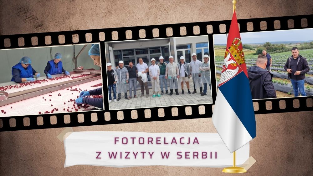 wyjazd studyjny do Serbii